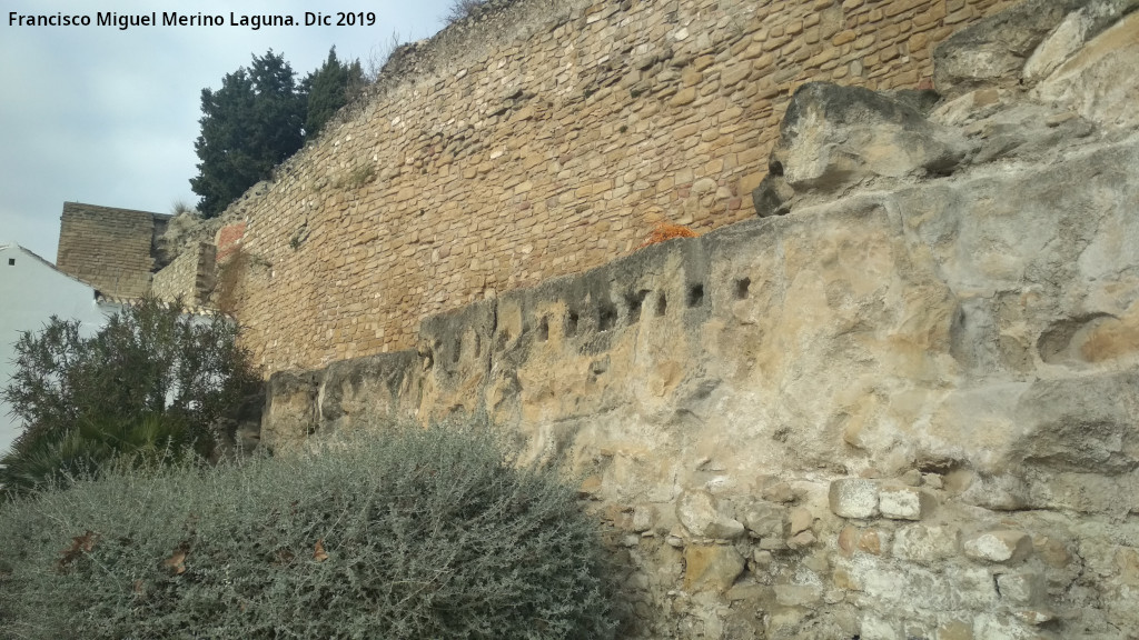 Torren de Saludeja III - Torren de Saludeja III. Mechinales