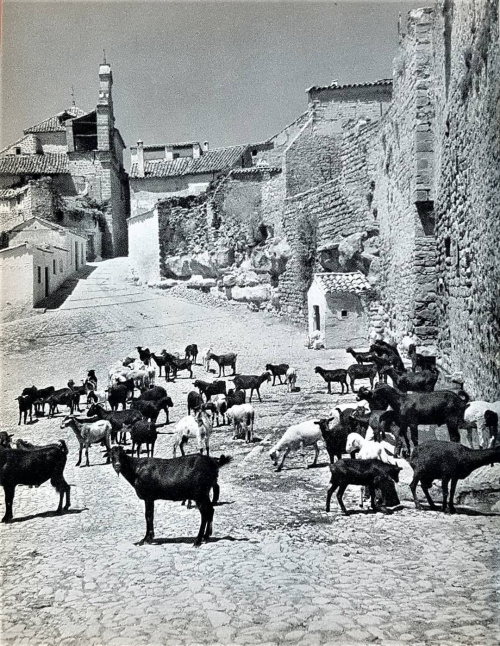 Pilar de la Puerta de Granada - Pilar de la Puerta de Granada. Foto de mediados del siglo XX. Foto de Jean Sermet.
