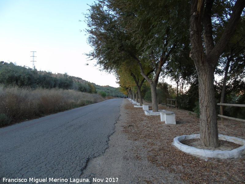 Paseo de la Carretera de la Confederacin - Paseo de la Carretera de la Confederacin. 