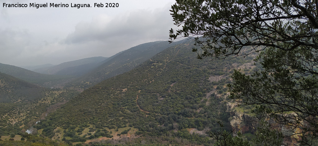 Cerro de las Minas - Cerro de las Minas. Ladera oeste. Desde el Cerro de la Caldera