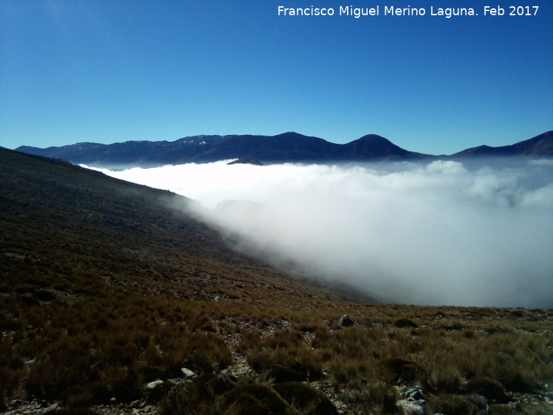 Cerro las Crceles - Cerro las Crceles. Desde el Aznaitn