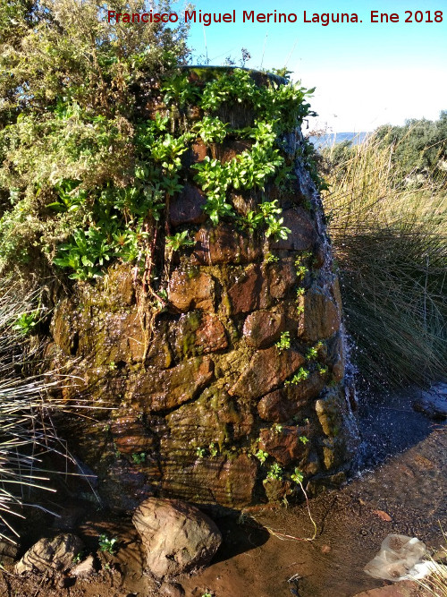 Fuente del rea recreativa de Burguillos. - Fuente del rea recreativa de Burguillos.. 