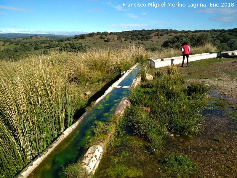 Fuente de Burguillos - Fuente de Burguillos. 