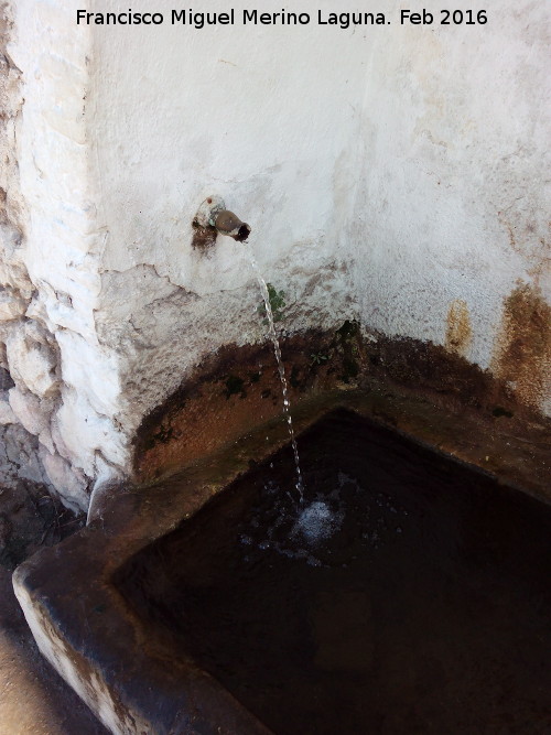 Fuente del Pilarejo - Fuente del Pilarejo. Cao