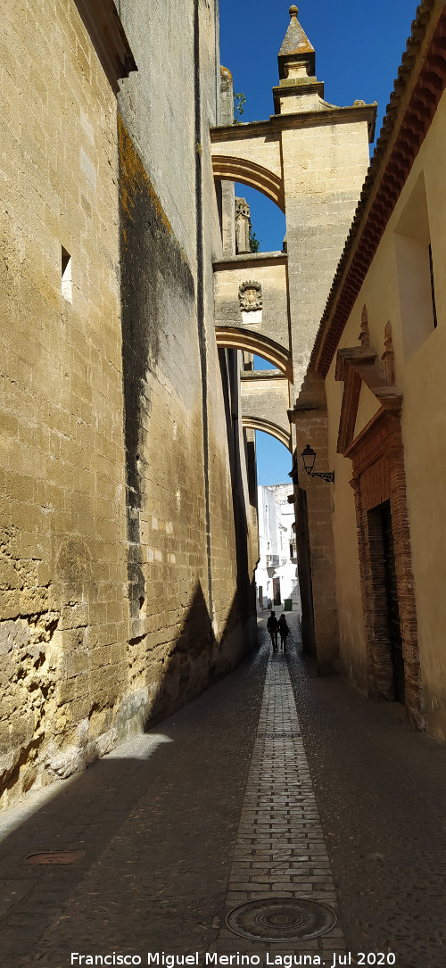 Bas�lica Menor de Santa Mar�a de la Asunci�n - Bas�lica Menor de Santa Mar�a de la Asunci�n. Callej�n de las Monjas