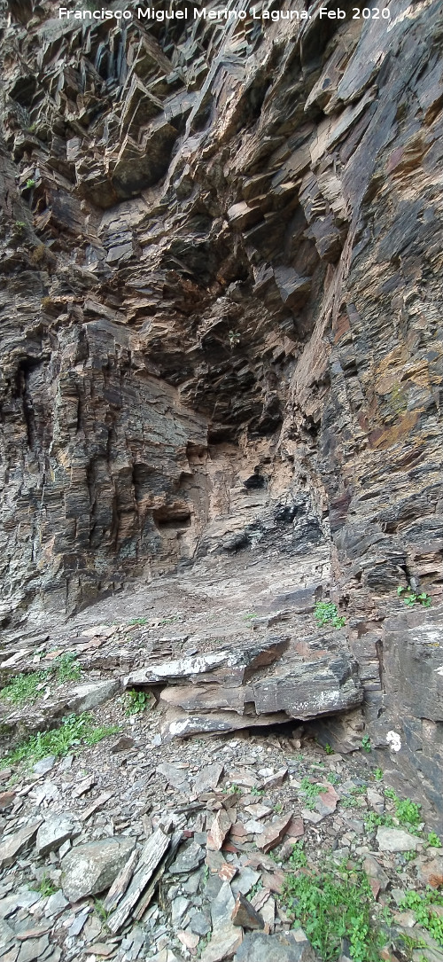 Pinturas rupestres del Abrigo del Guadal�n II - Pinturas rupestres del Abrigo del Guadal�n II. Abrigo