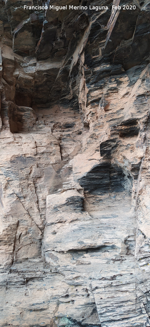 Pinturas rupestres del Abrigo del Guadal�n II - Pinturas rupestres del Abrigo del Guadal�n II. 