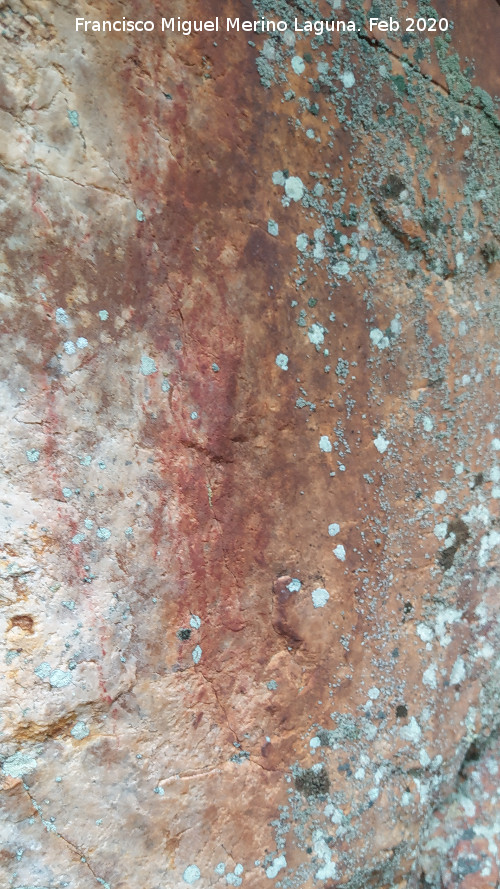 Pinturas rupestres del Abrigo del Guadal�n IV - Pinturas rupestres del Abrigo del Guadal�n IV. 