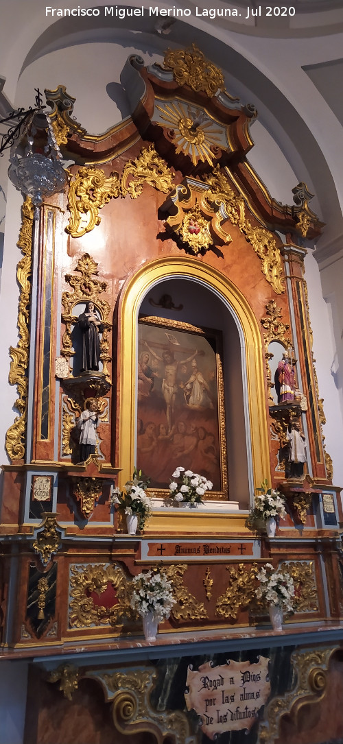 Iglesia de la Encarnaci�n - Iglesia de la Encarnaci�n. Retablo de las �nimas Benditas