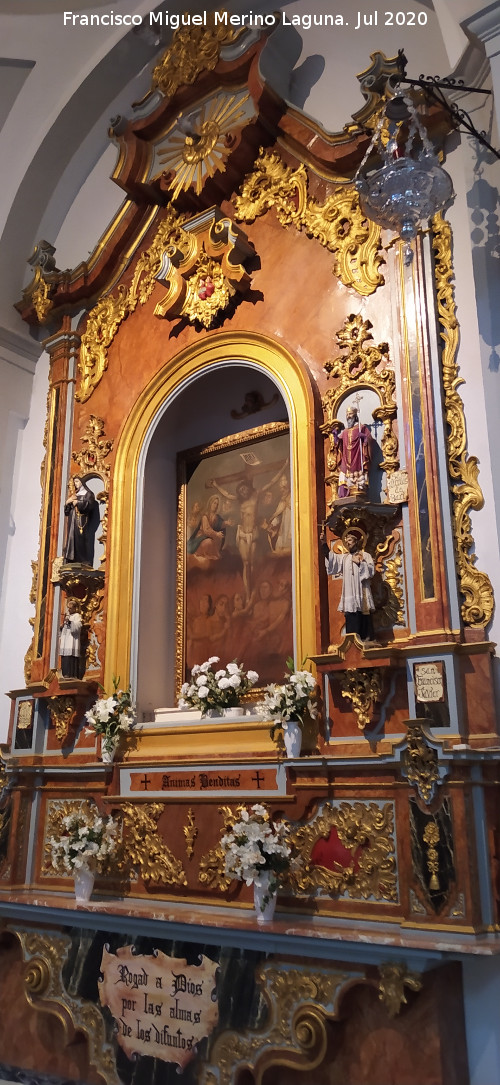 Iglesia de la Encarnaci�n - Iglesia de la Encarnaci�n. Retablo de la �nimas Benditas