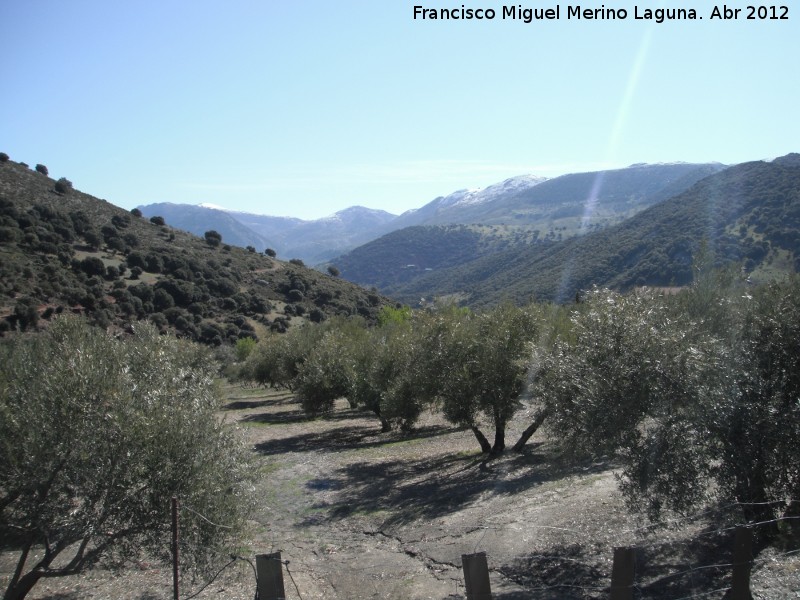 Ventisqueros - Ventisqueros. Al fondo nevado