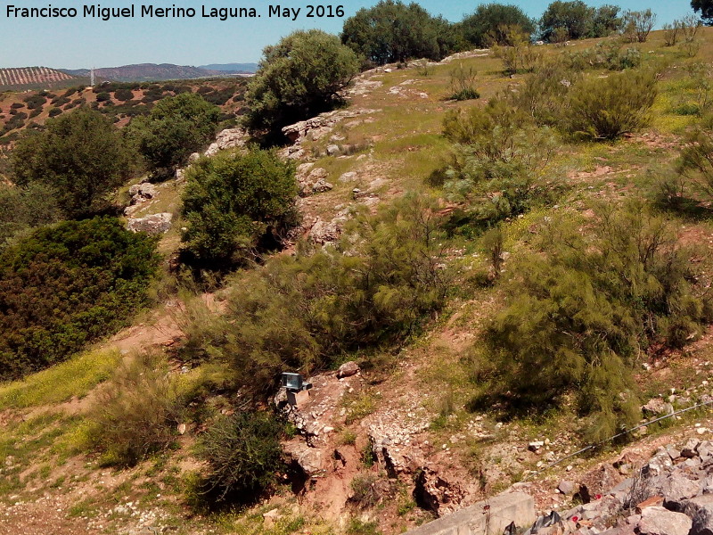 Poblado prehistrico del Cerro del Salto - Poblado prehistrico del Cerro del Salto. Lnea de muralla