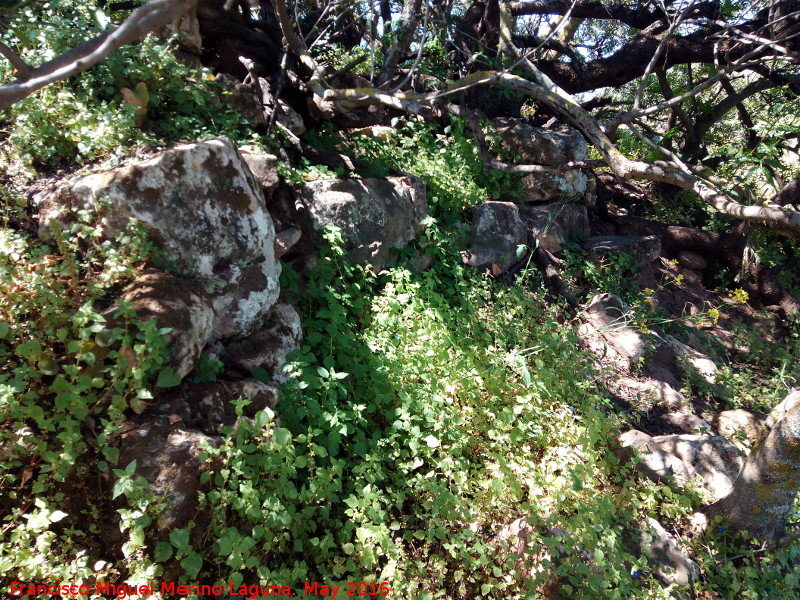 Poblado prehistrico del Cerro del Salto - Poblado prehistrico del Cerro del Salto. Muralla