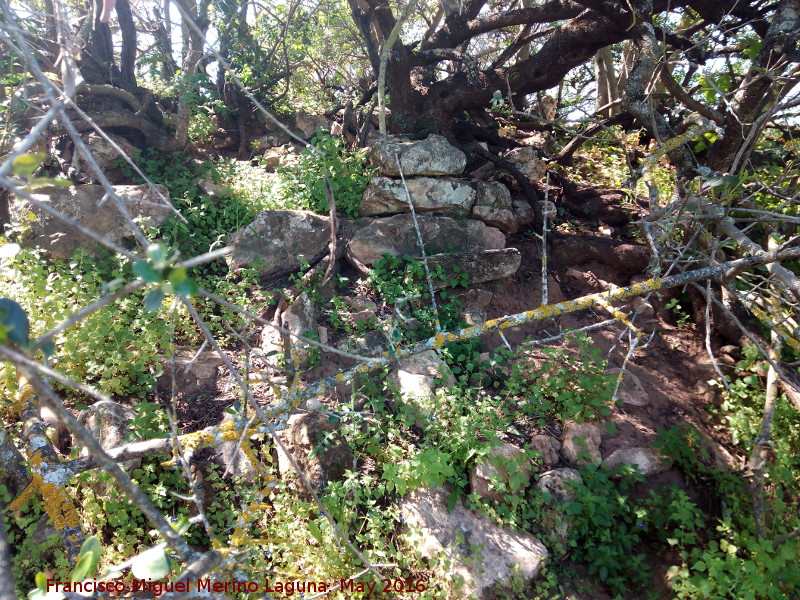 Poblado prehistrico del Cerro del Salto - Poblado prehistrico del Cerro del Salto. Muralla