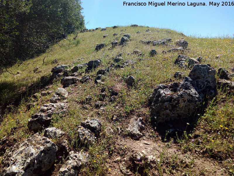 Poblado prehistrico del Cerro del Salto - Poblado prehistrico del Cerro del Salto. Lnea de muralla