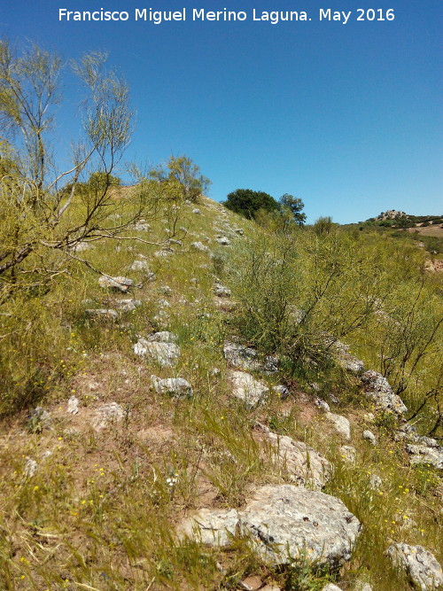 Poblado prehistrico del Cerro del Salto - Poblado prehistrico del Cerro del Salto. Lnea de muralla