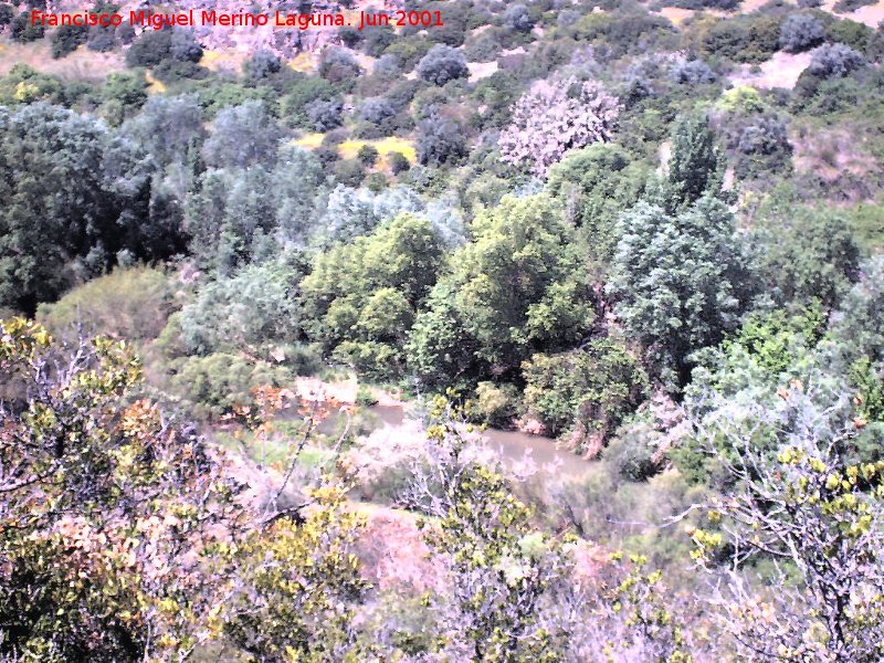 Herrera la Vieja - Herrera la Vieja. Ro Guadalimar al paso por el yacimiento