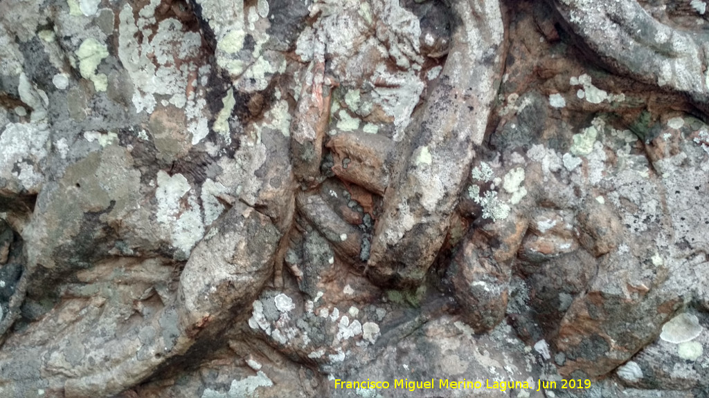 Cruziana - Cruziana. Charco del Negrillo - Aldeaquemada