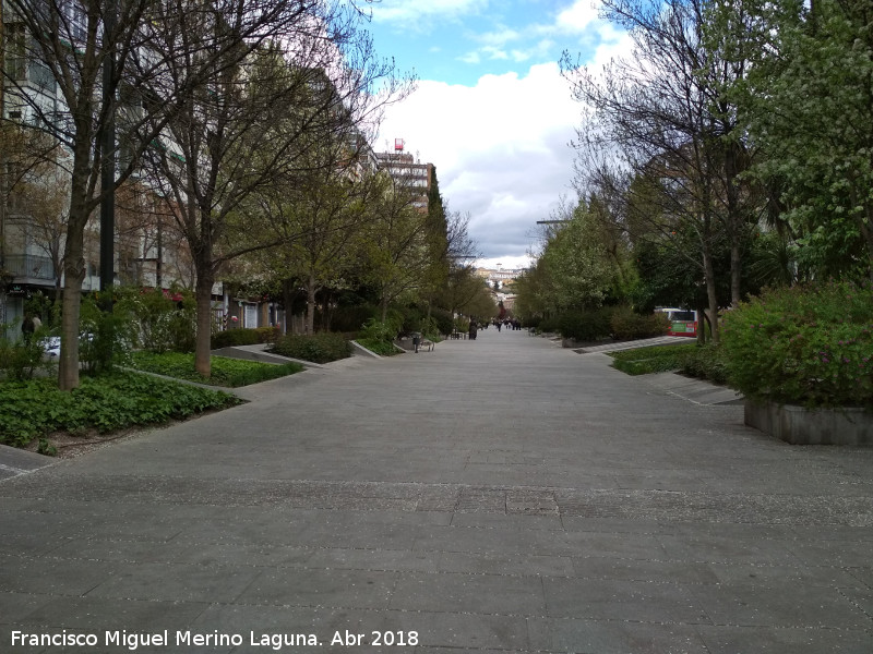 Bulevar de la Avenida de la Constitucin - Bulevar de la Avenida de la Constitucin. 