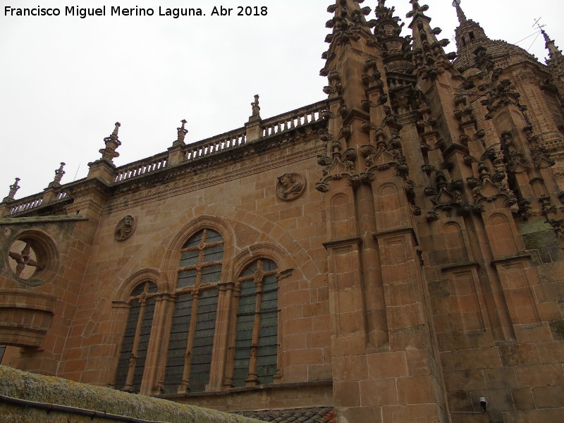 Catedral Nueva - Catedral Nueva. Ventana