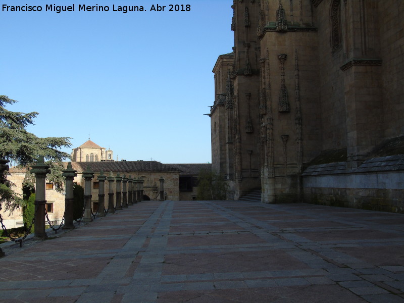 Catedral Nueva. Lonja - Catedral Nueva. Lonja. 