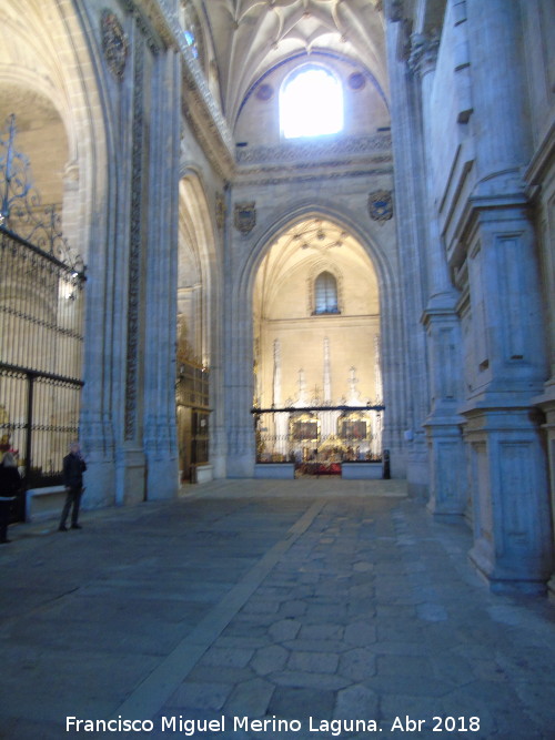 Catedral Nueva. Nave del Evangelio - Catedral Nueva. Nave del Evangelio. 