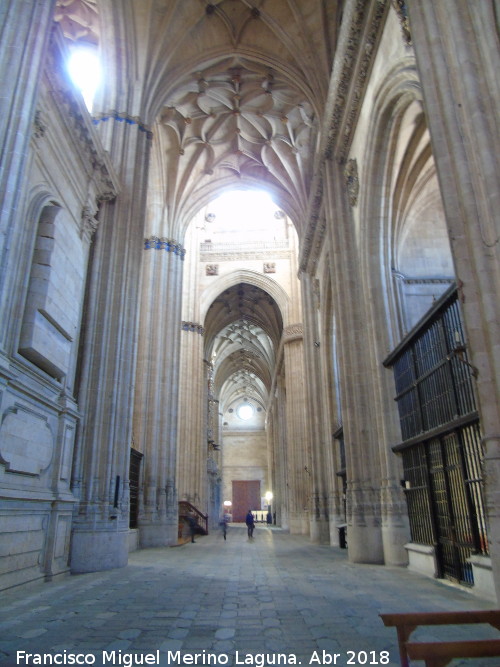 Catedral Nueva. Nave del Evangelio - Catedral Nueva. Nave del Evangelio. 