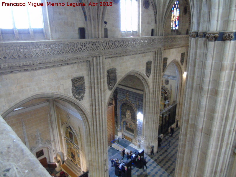 Catedral Nueva. Nave del Evangelio - Catedral Nueva. Nave del Evangelio. 