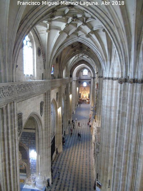 Catedral Nueva. Nave del Evangelio - Catedral Nueva. Nave del Evangelio. 