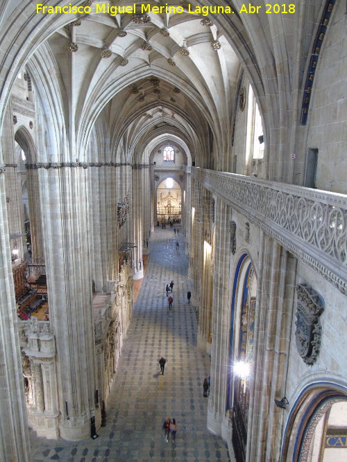 Catedral Nueva. Nave de la Epstola - Catedral Nueva. Nave de la Epstola. 