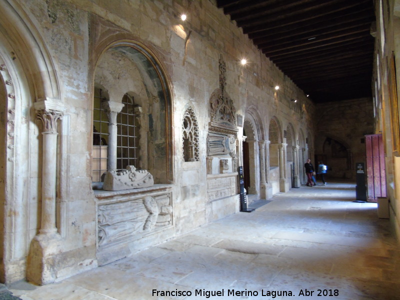 Catedral Vieja. Claustro - Catedral Vieja. Claustro. Ala Este