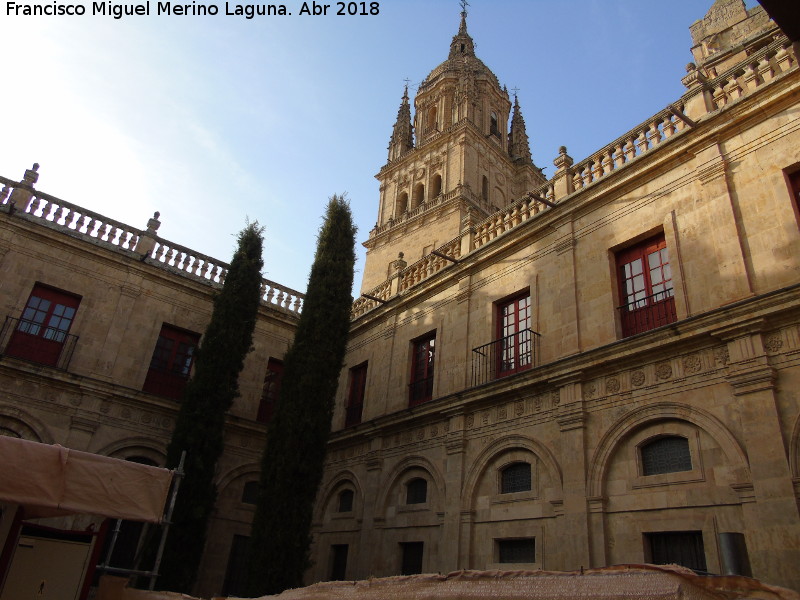 Catedral Vieja. Claustro - Catedral Vieja. Claustro. 