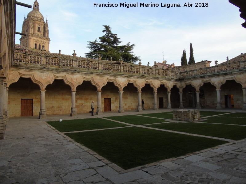 Escuelas Menores - Escuelas Menores. Patio