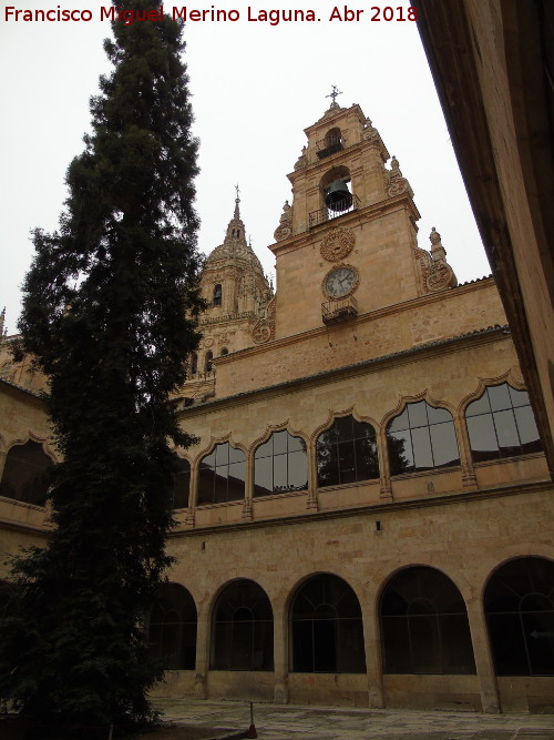 Escuelas Mayores. Patio - Escuelas Mayores. Patio. 