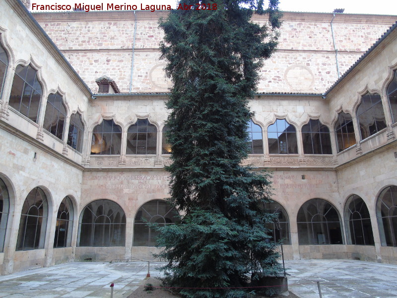 Escuelas Mayores. Patio - Escuelas Mayores. Patio. 