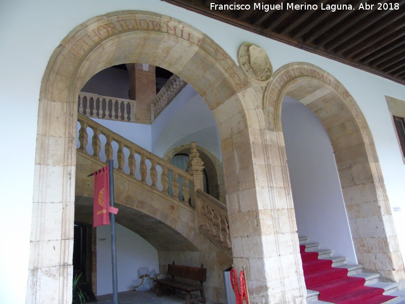 Colegio del Arzobispo Fonseca - Colegio del Arzobispo Fonseca. Escalera