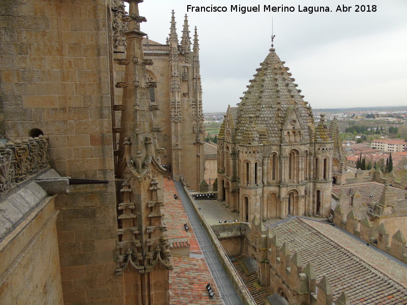 Catedral Vieja. Torre del Gallo - Catedral Vieja. Torre del Gallo. 