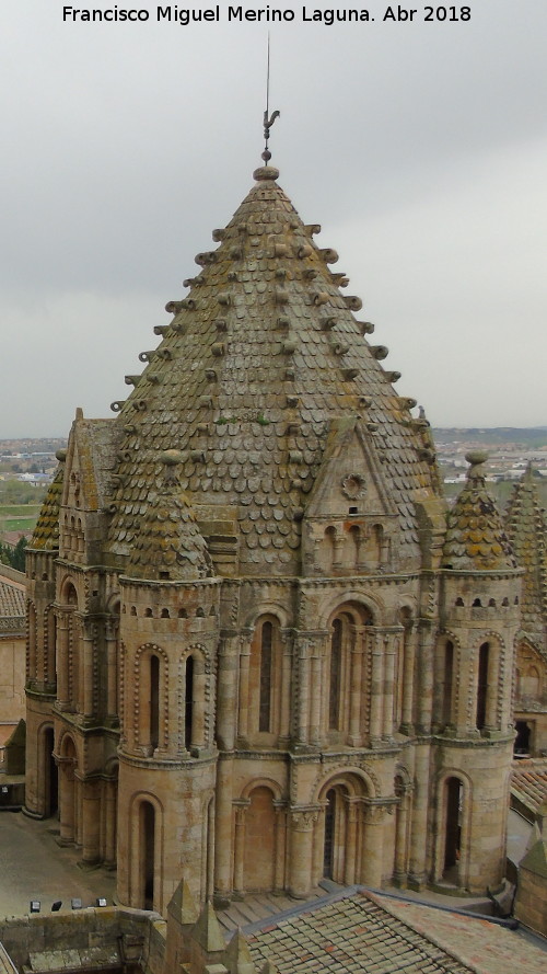 Catedral Vieja. Torre del Gallo - Catedral Vieja. Torre del Gallo. 