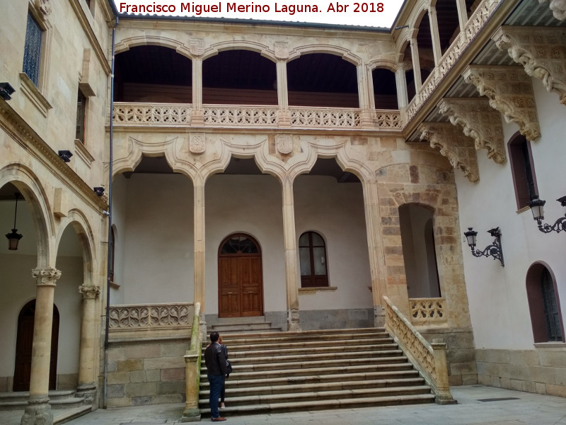 Palacio de la Salina o Fonseca - Palacio de la Salina o Fonseca. Escaleras