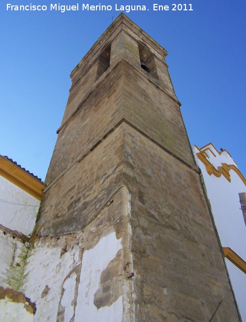 Iglesia de San Martn - Iglesia de San Martn. Torre