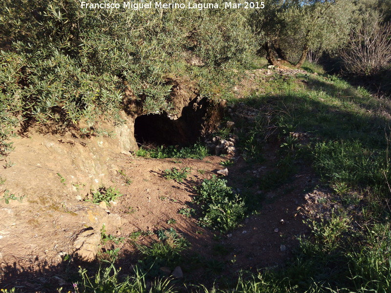 Cueva del Socavn del Nadaor - Cueva del Socavn del Nadaor. 