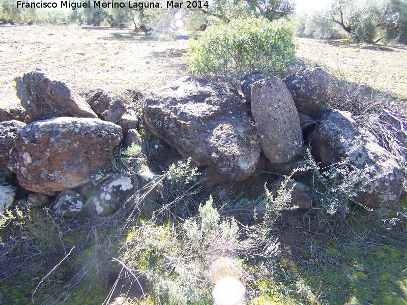 Necrpolis del Salido Alto - Necrpolis del Salido Alto. Piedras en el yacimiento