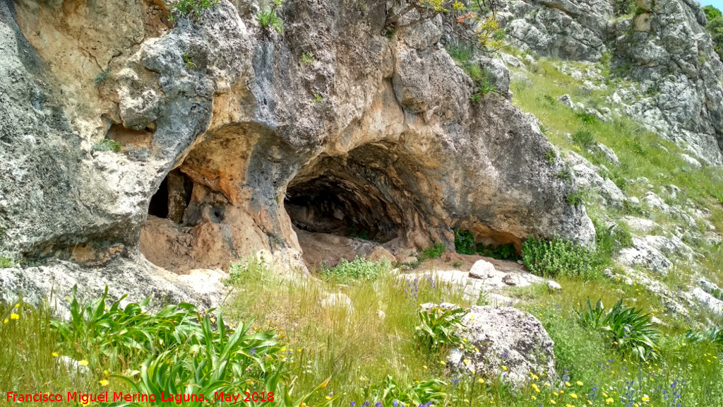 Cueva Baja de la Paraisa - Cueva Baja de la Paraisa. 