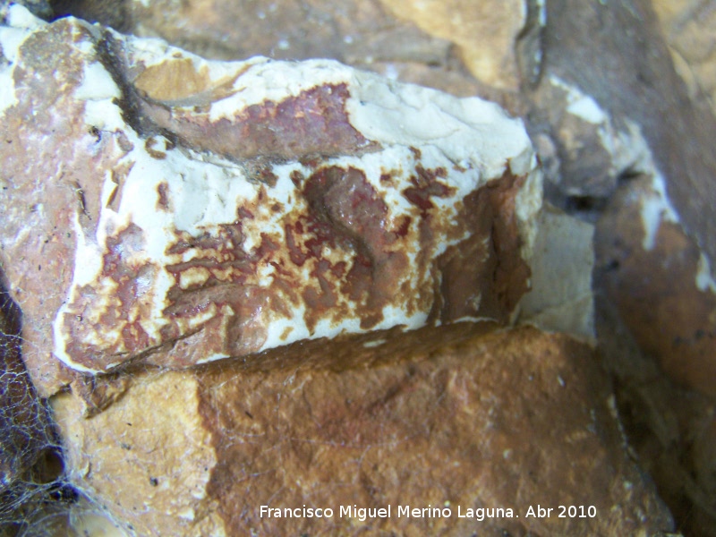 Pinturas rupestres de la Cueva de los Herreros Grupo V - Pinturas rupestres de la Cueva de los Herreros Grupo V. Restos de pinturas