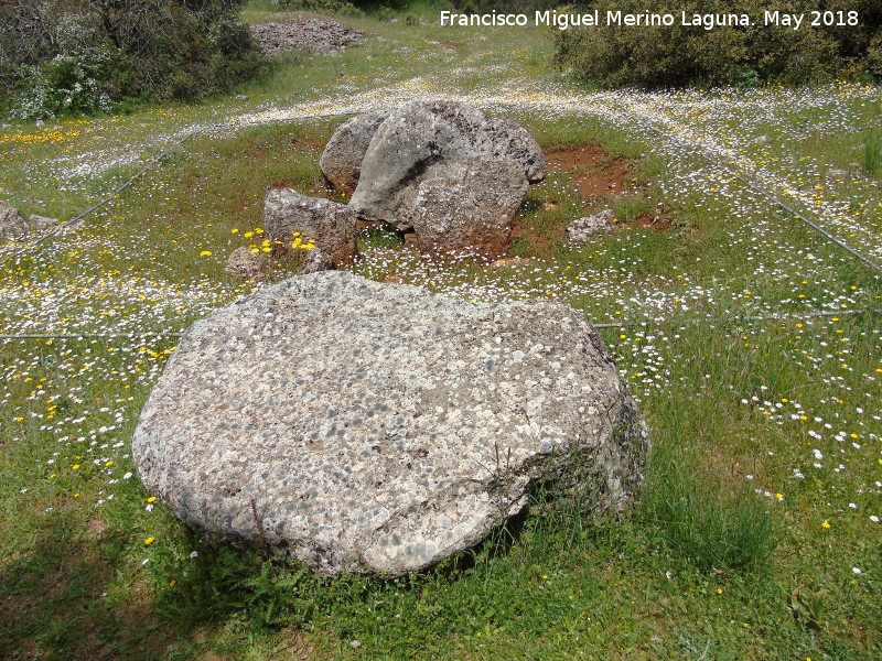 Dolmen del Zoomorfo - Dolmen del Zoomorfo. Ortostato o losa de cubricin desplazada
