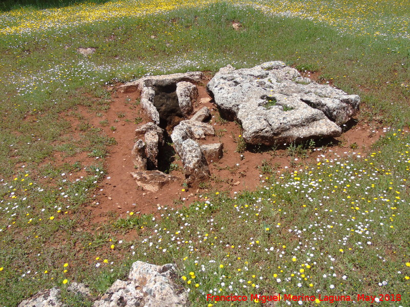 Dolmen Destapado - Dolmen Destapado. 