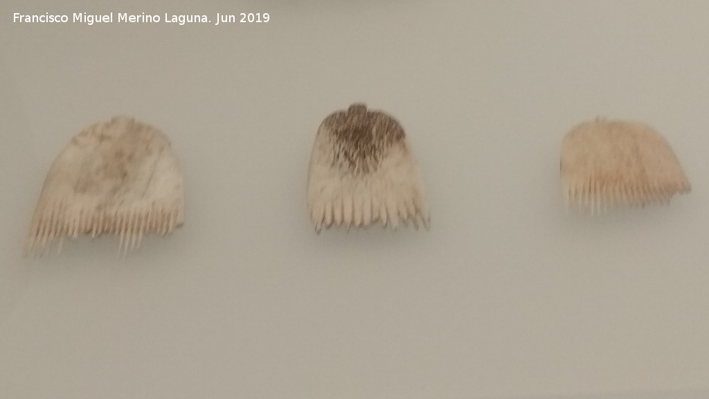 Poblado prehistrico de los Castillejos - Poblado prehistrico de los Castillejos. Peines de hueso 3.100-2.700 a.C. Museo Arqueolgico de Granada