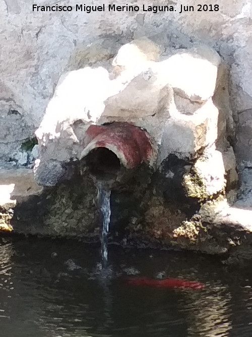 Fuente de las Nias - Fuente de las Nias. Cao