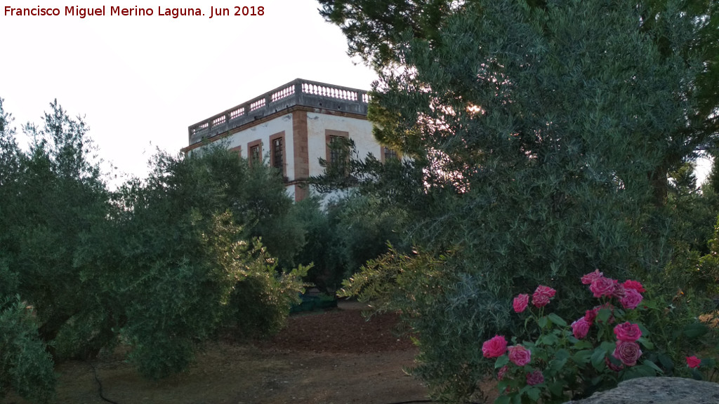 Cortijo La Sevilleja - Cortijo La Sevilleja. 