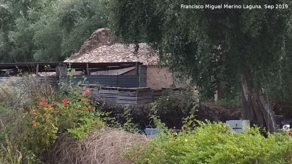 El Molinillo - El Molinillo. 